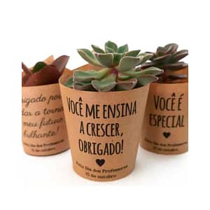 Mini-Suculenta-com-Rótulo-Personalizado-1