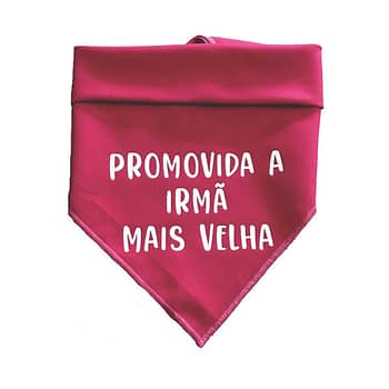 Bandana Para Cães e Gatos Promovida a Irmã Mais Velha 5