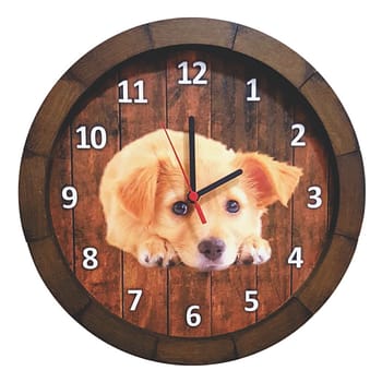 Relógio De Parede Personalizado Fotos Pets Animais Temas
